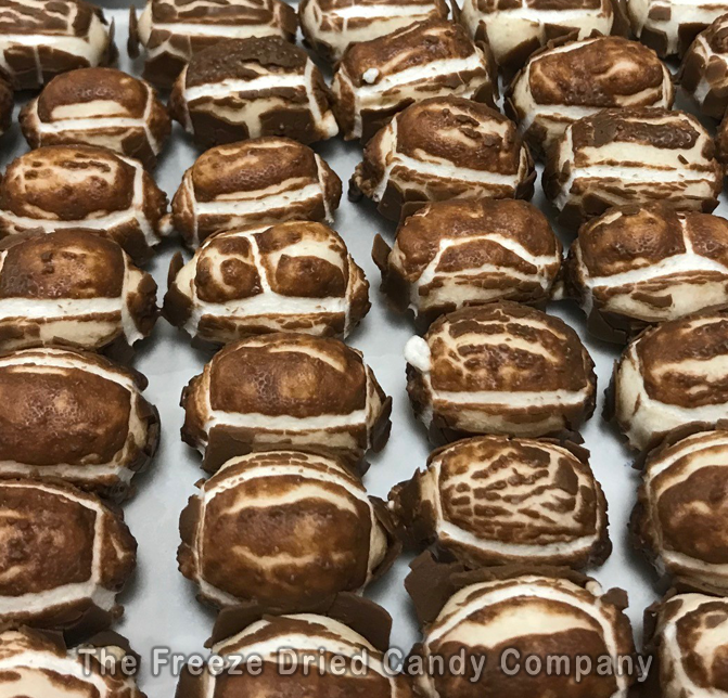 Freeze Dried Candy A BRAND NEW CANDY EXPERIENCE™ Come try some