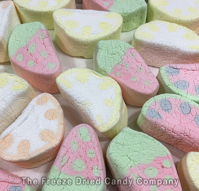 Freeze Dried Candy A BRAND NEW CANDY EXPERIENCE™ Come try some The "Freeze Dried Candy