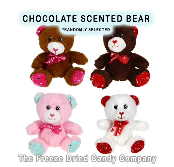 Chocolate scented teddy outlet bear