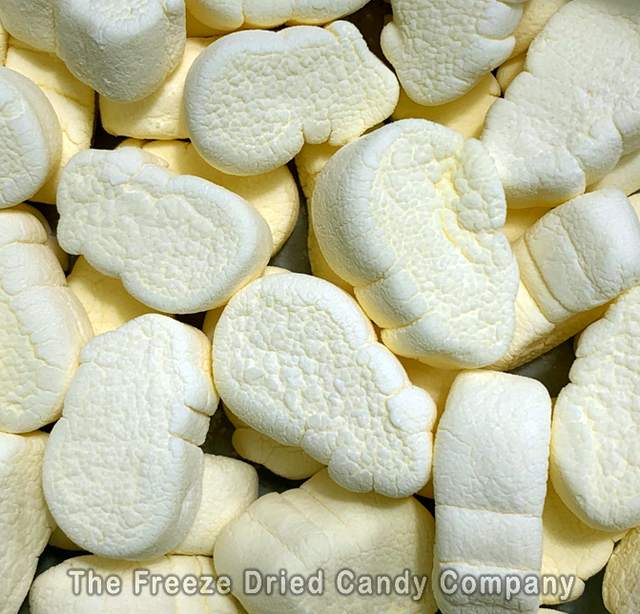 Vanilla Freeze Dried Marshmallows - Lolli and Pops